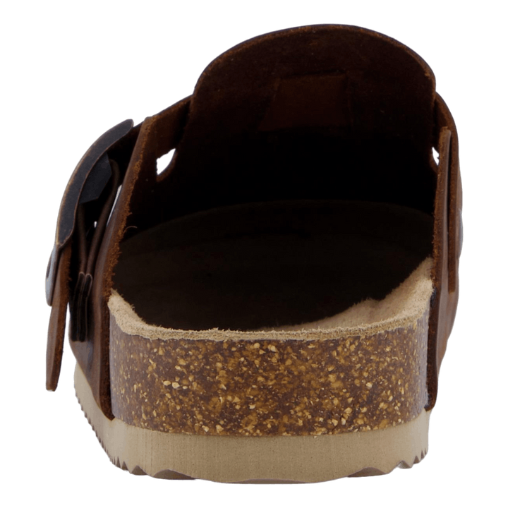 Hc.bio411 Tan