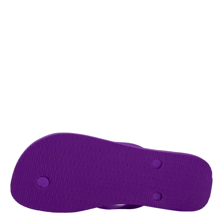 Top D.purple/d.purple