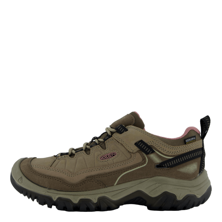 Ke Targhee Iv Wp W Brindle-nostalgia Rose