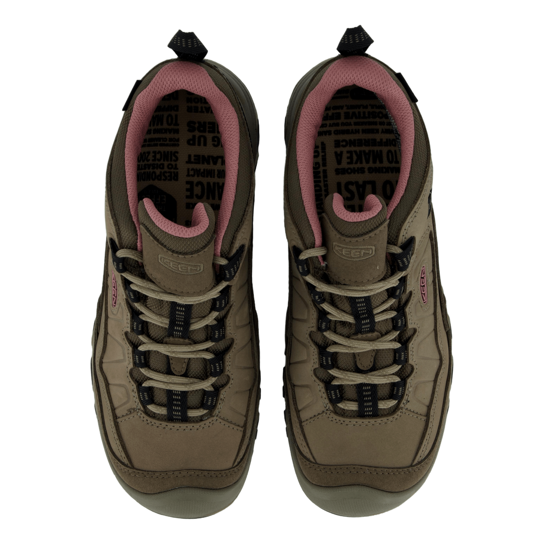 Ke Targhee Iv Wp W Brindle-nostalgia Rose