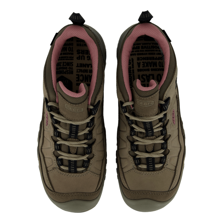 Ke Targhee Iv Wp W Brindle-nostalgia Rose