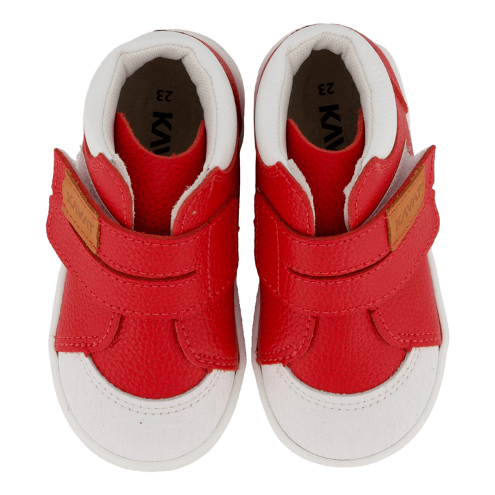 Fiskeby Xc Red