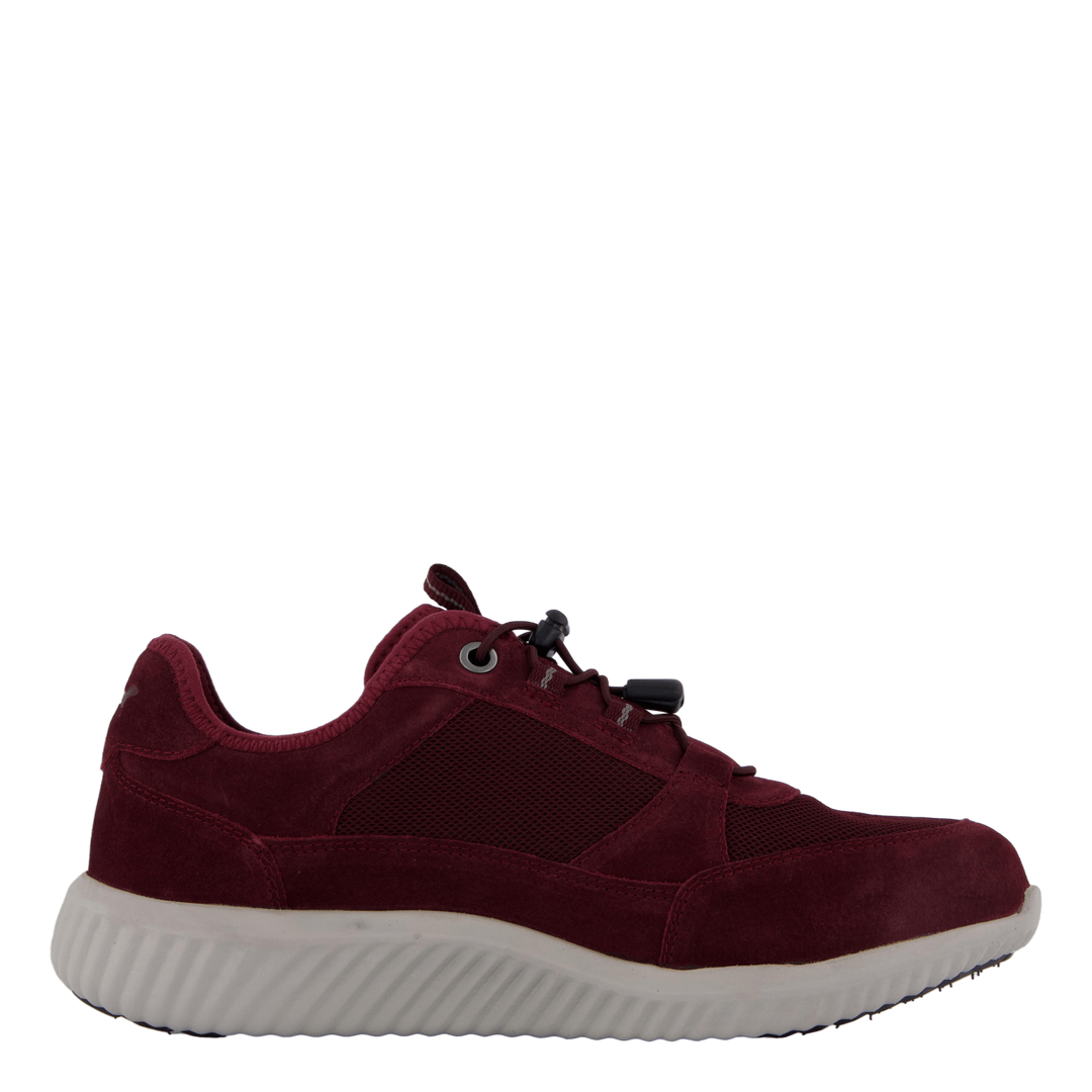 Credo Toronto Gtx Bordo