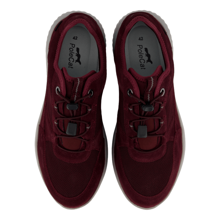 Credo Toronto Gtx Bordo