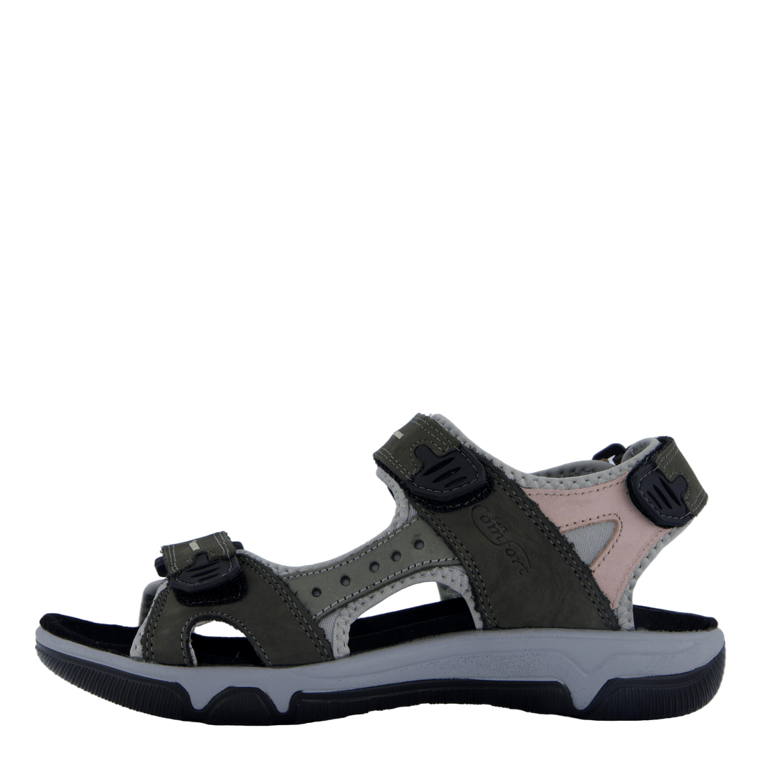 Hills Anthracite