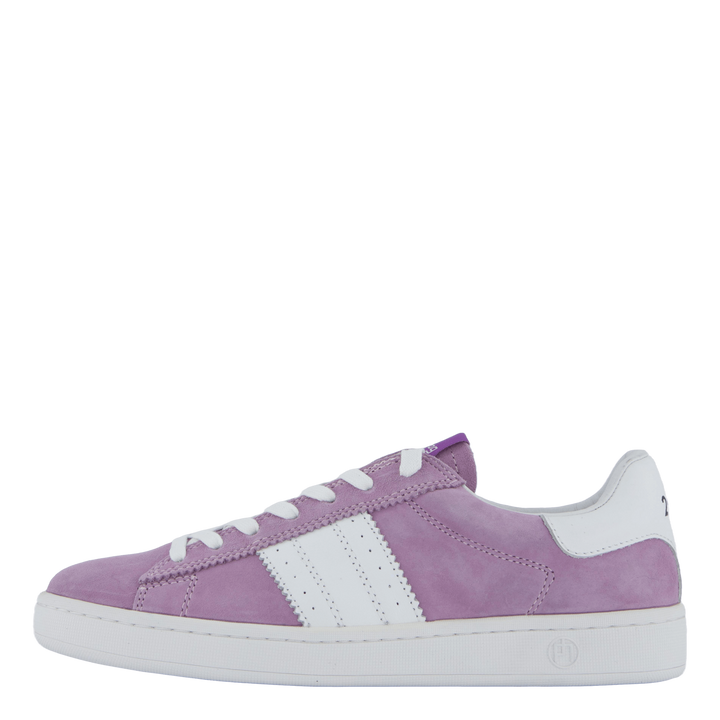 Stella Lilac