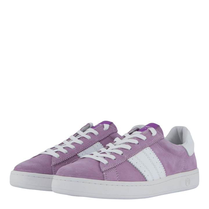 Stella Lilac