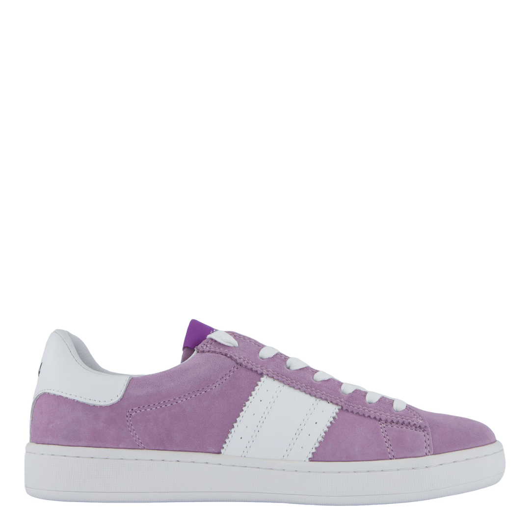 Stella Lilac