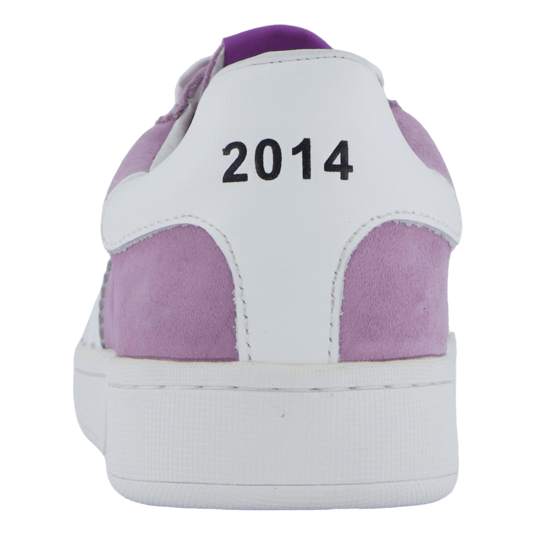 Stella Lilac