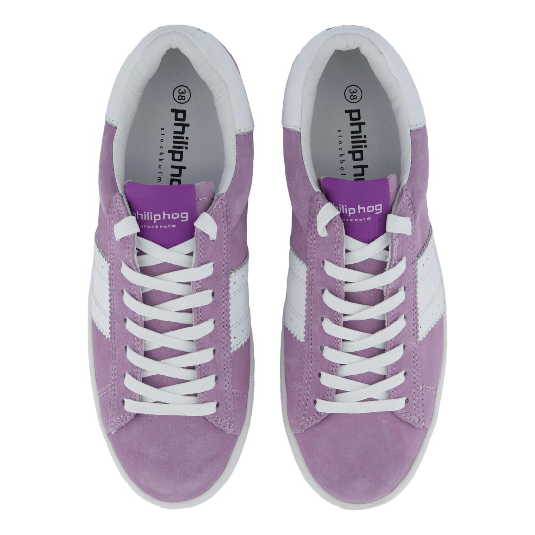 Stella Lilac