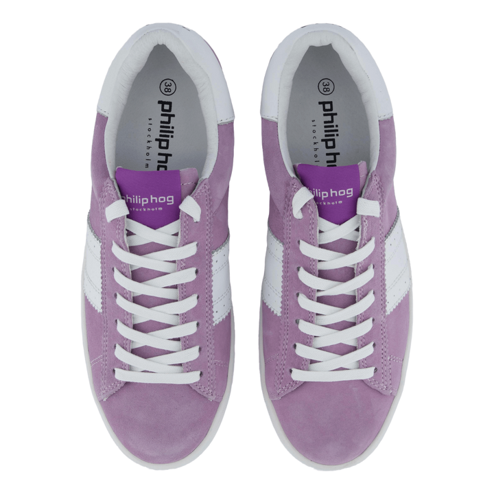 Stella Lilac