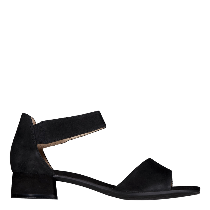 Carla Black Suede