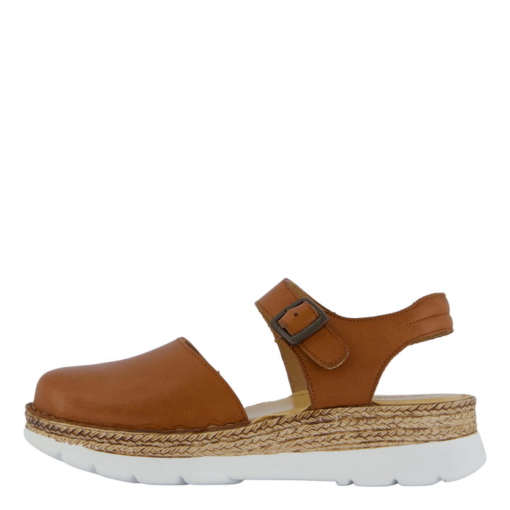 Maya Cognac