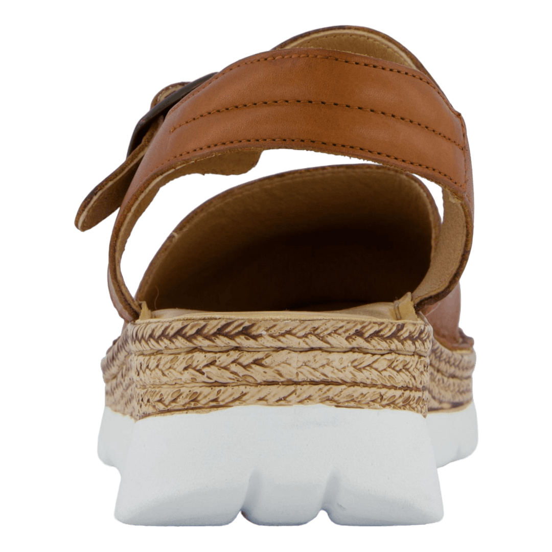 Maya Cognac