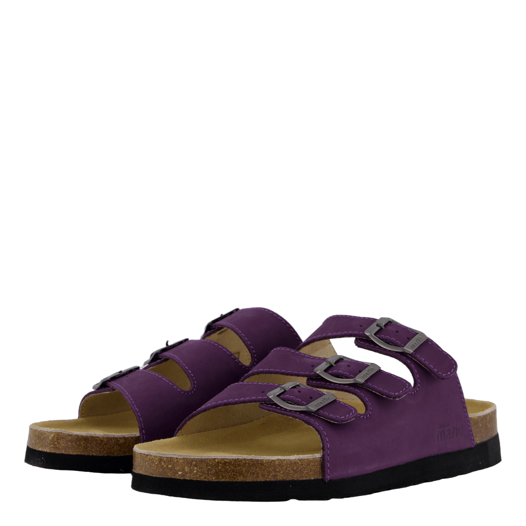 Shell Purple Heart