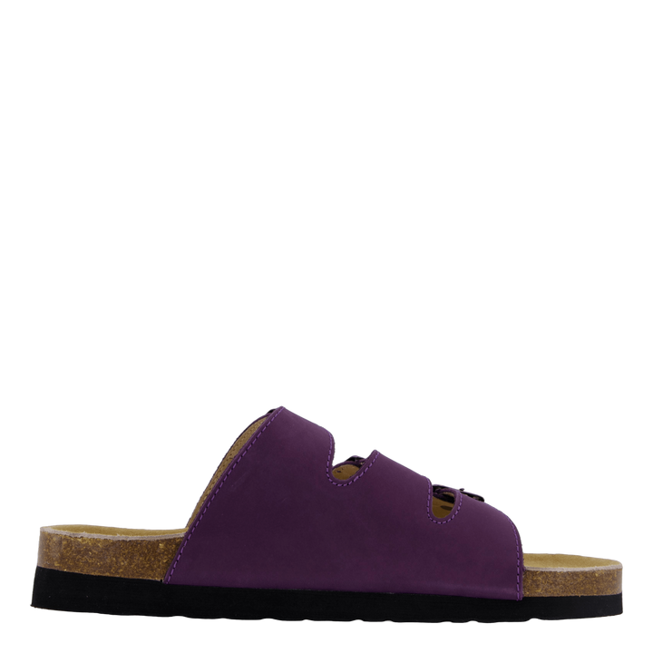 Shell Purple Heart
