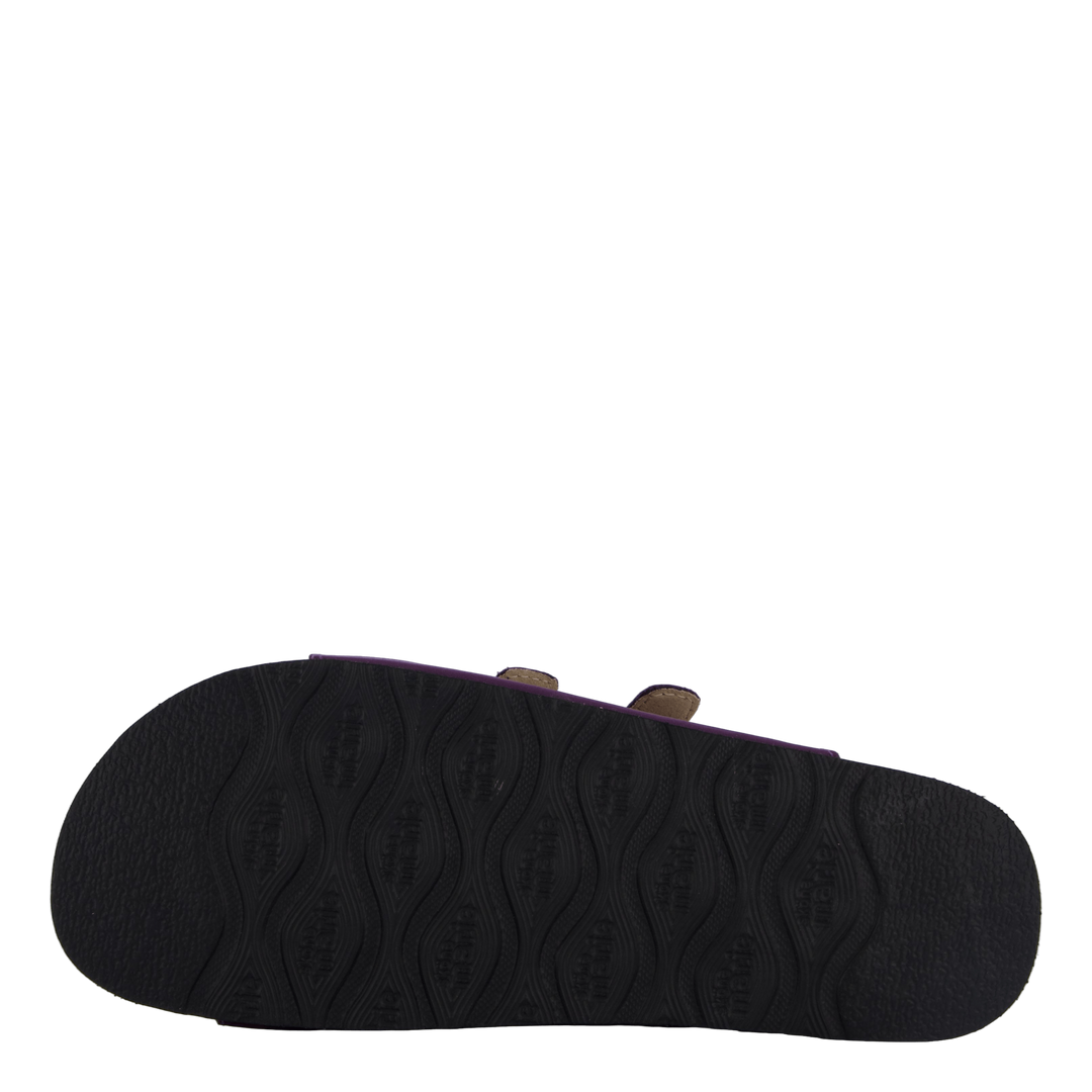 Shell Purple Heart
