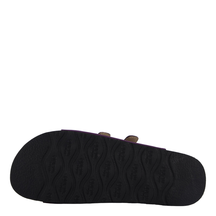 Shell Purple Heart