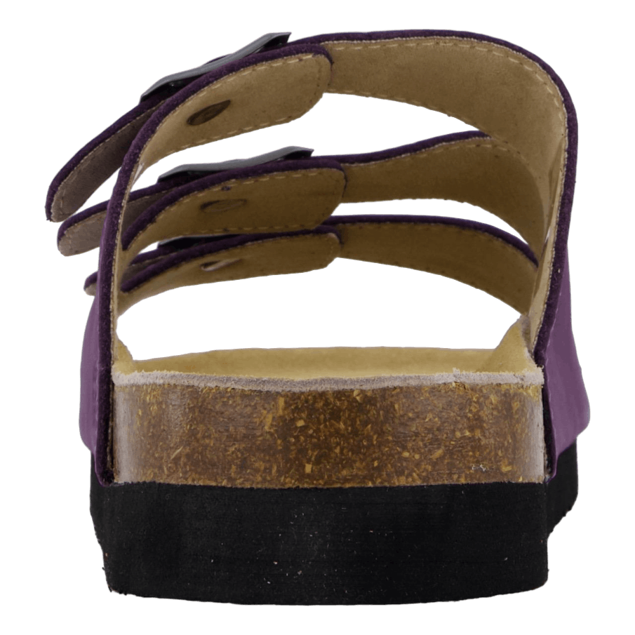 Shell Purple Heart