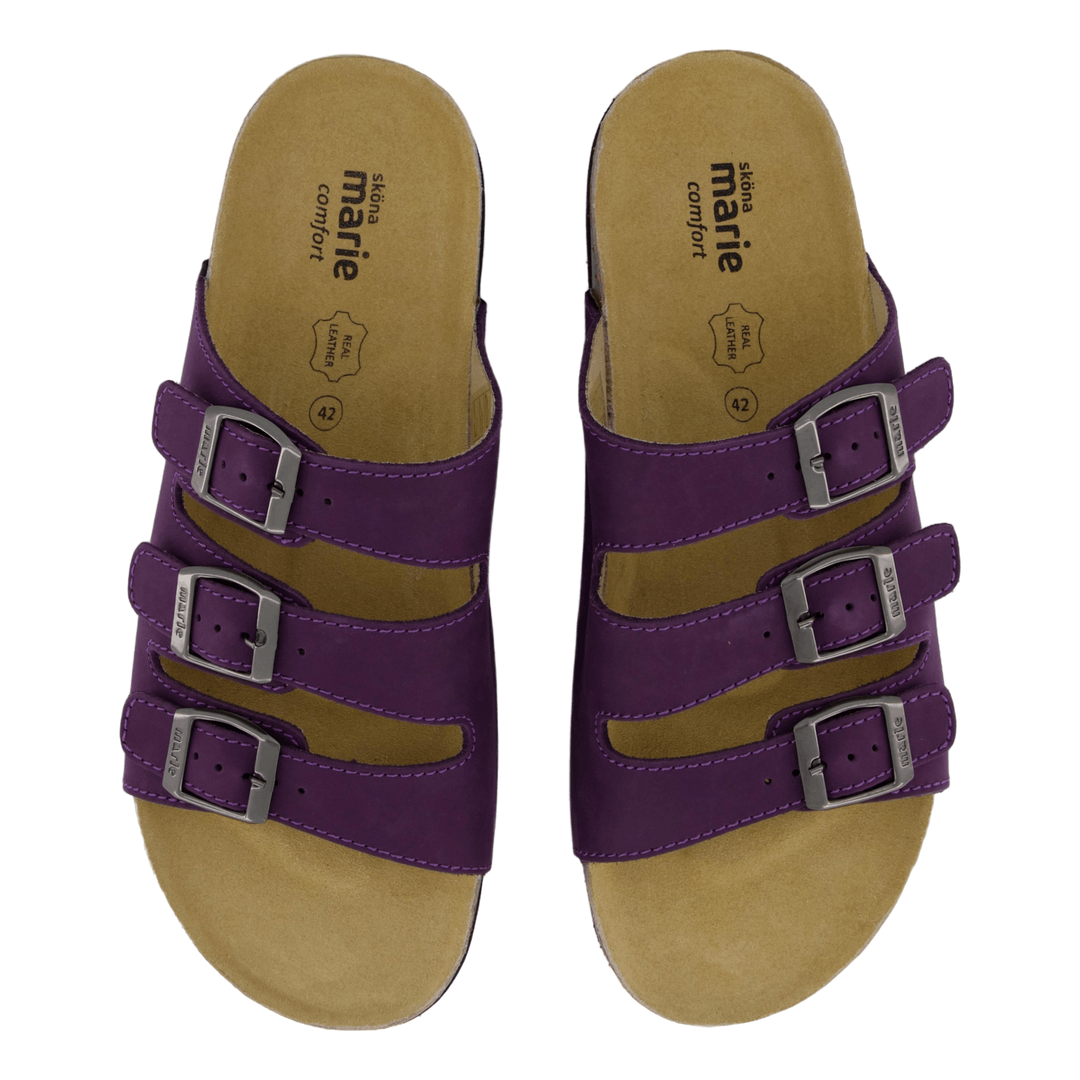 Shell Purple Heart