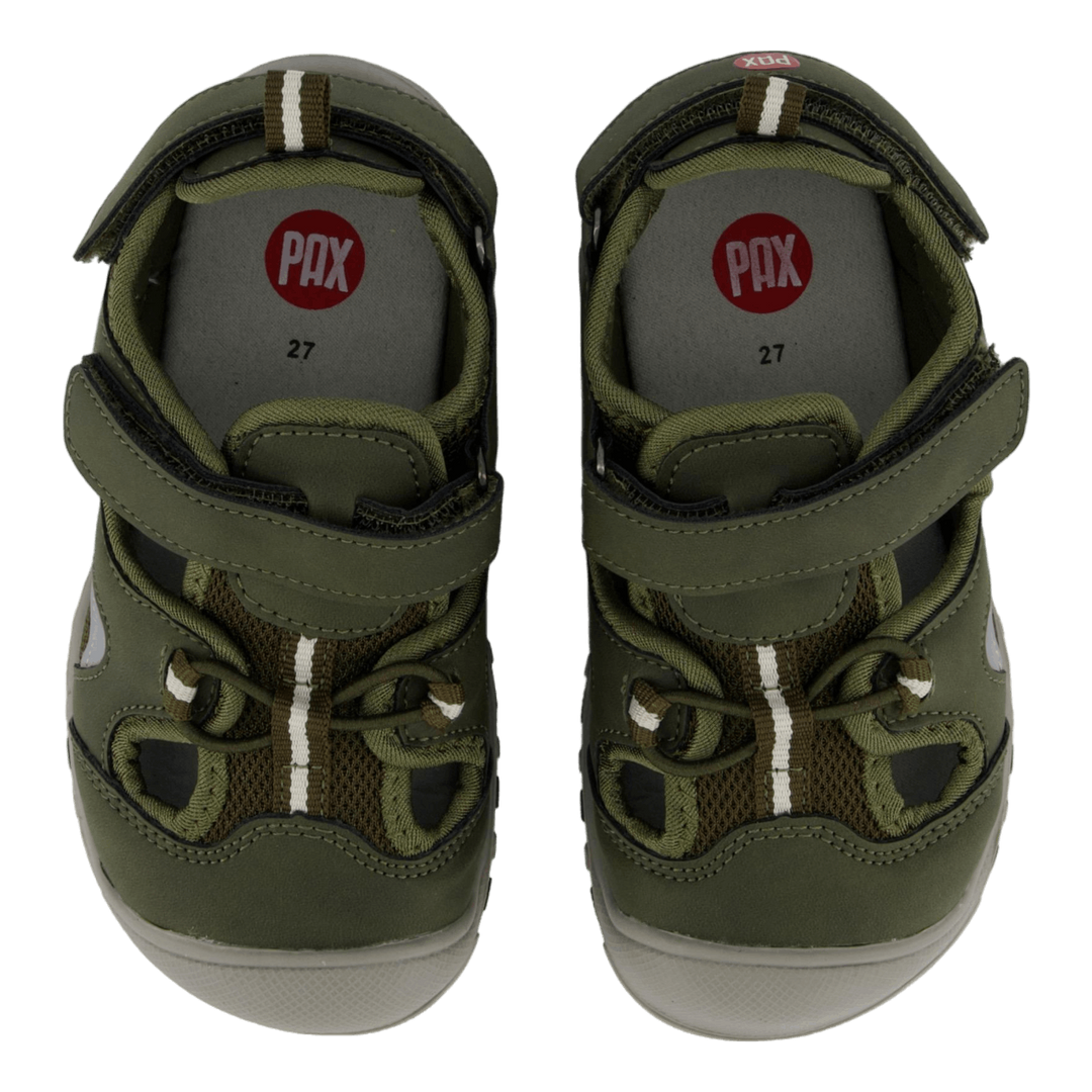 Pepper Green