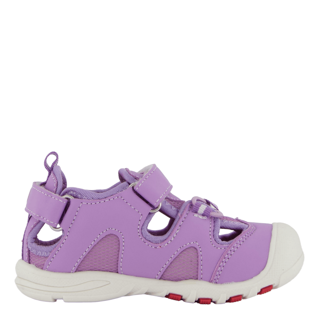 Pepper Purple