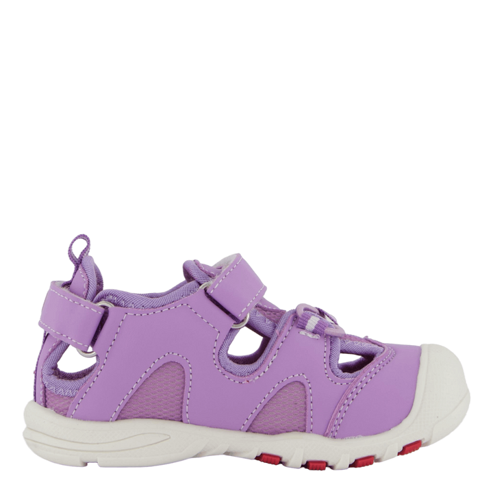 Pepper Purple