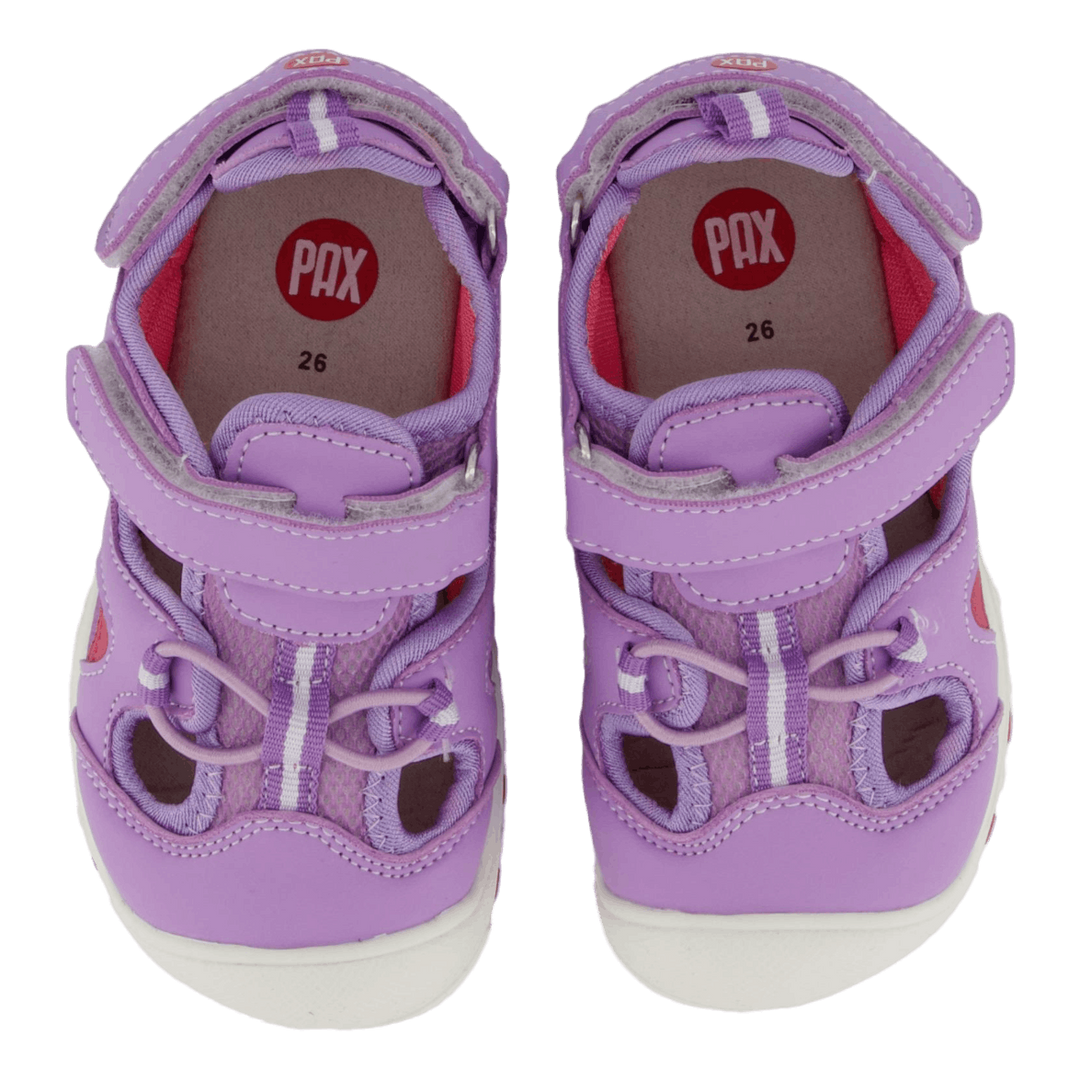 Pepper Purple