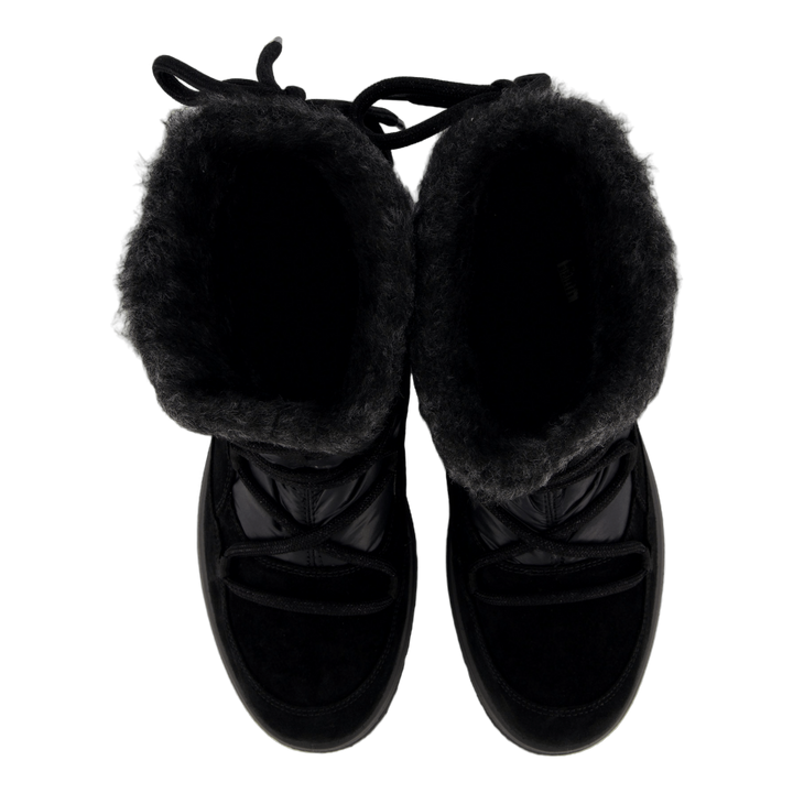 Campania Schwarz ( Schwarz)