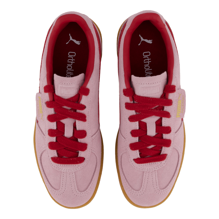 Palermo Rose Mauve-dark Crimson