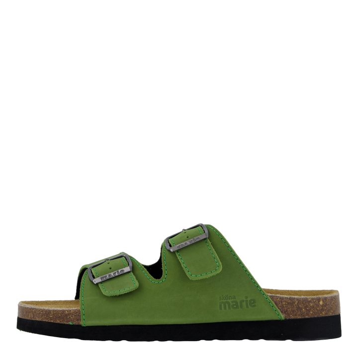 Joline Cedar Green