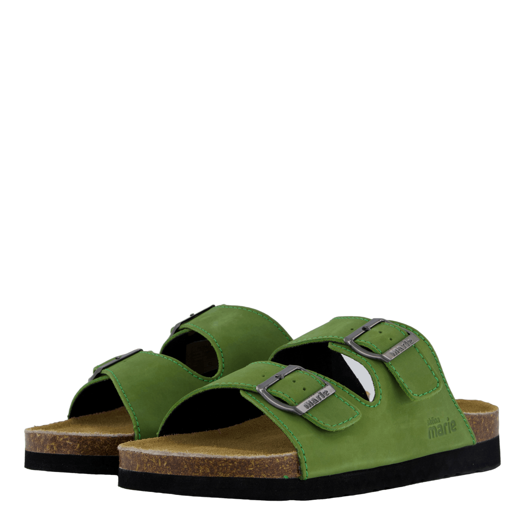 Joline Cedar Green