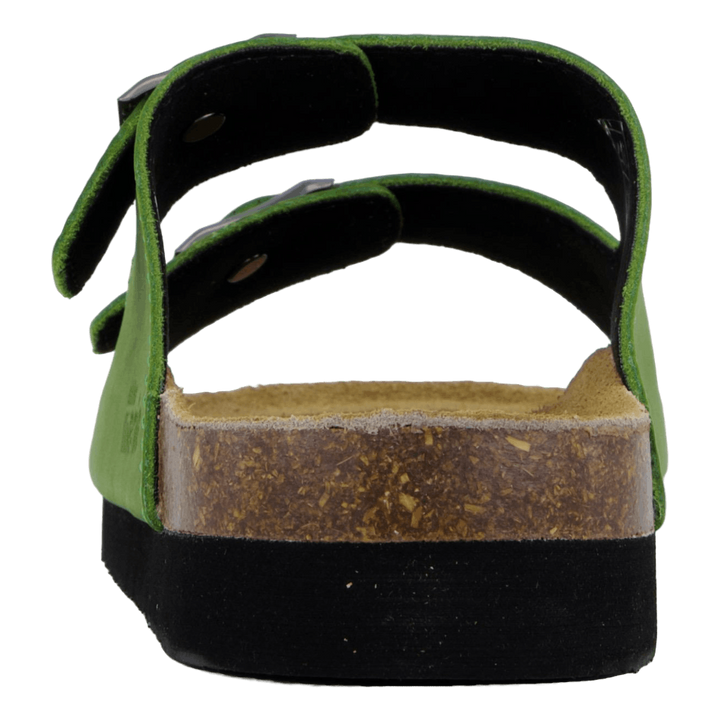 Joline Cedar Green