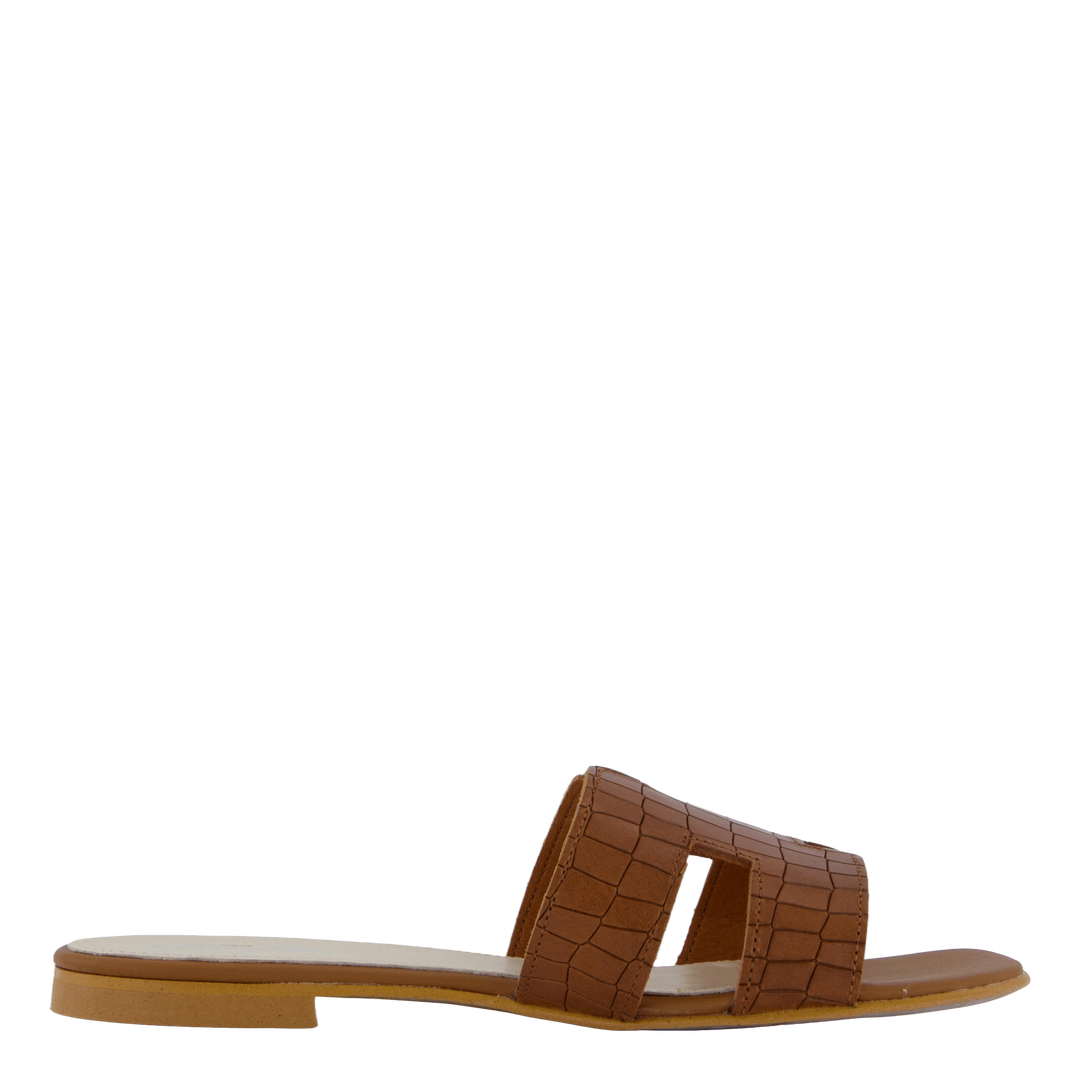 Claire Croco