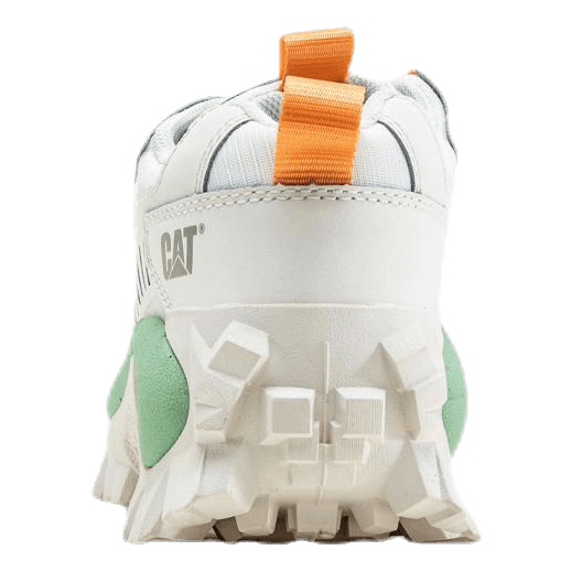 Intruder  White/Green
