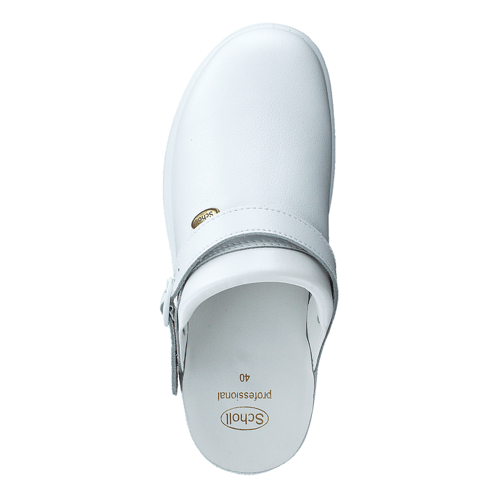 New Bonus White