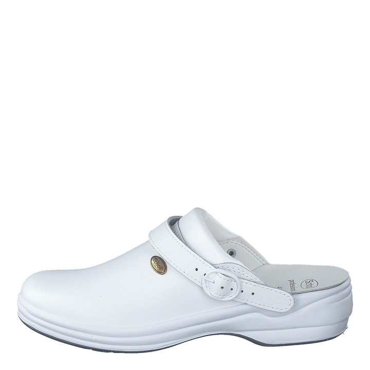 New Bonus White