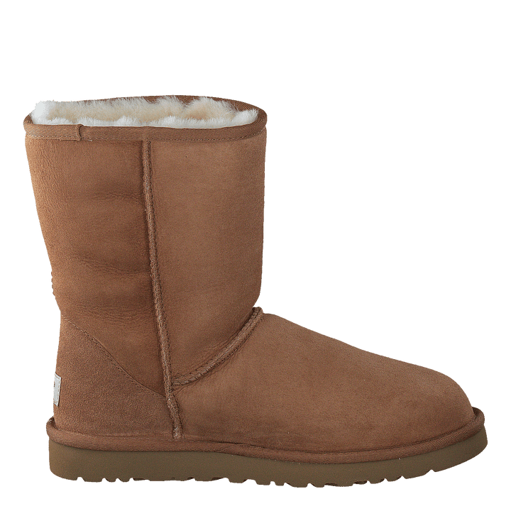 Classic Short M's Chestnut