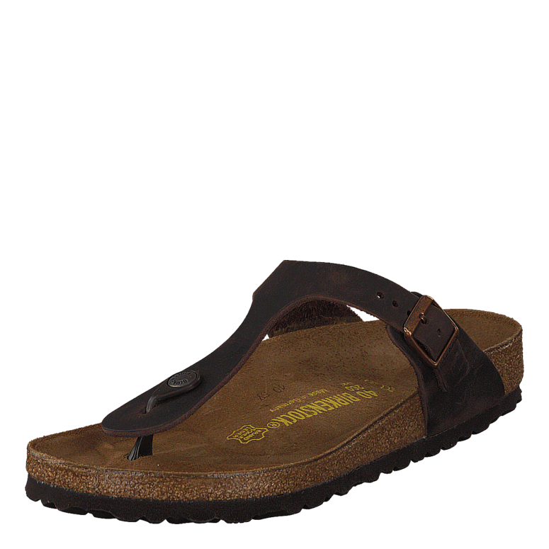 Gizeh habana hotsell