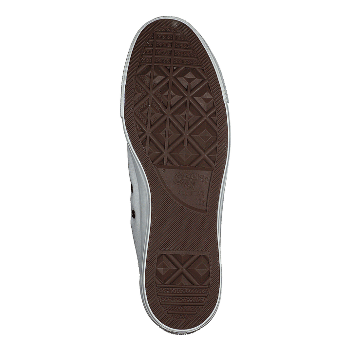 All Star Specialty Hi Canvas White Monocrome