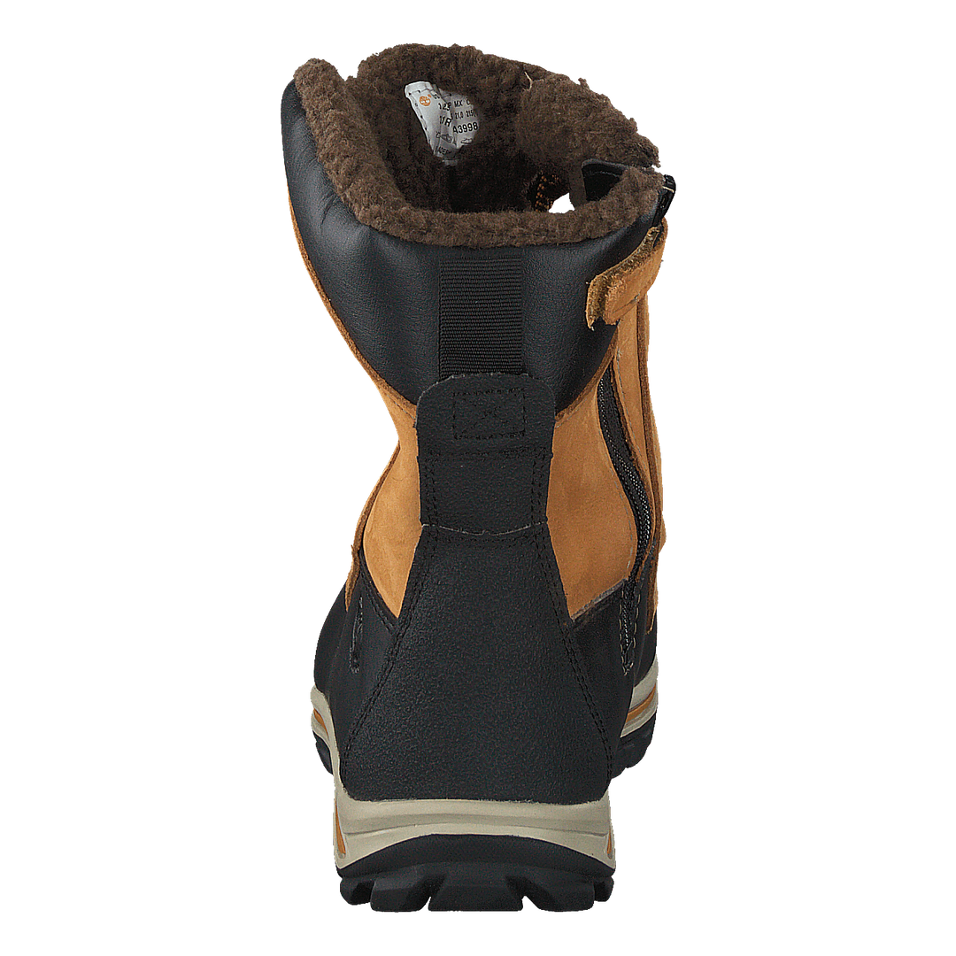 3571R Rime Ridge Wheat