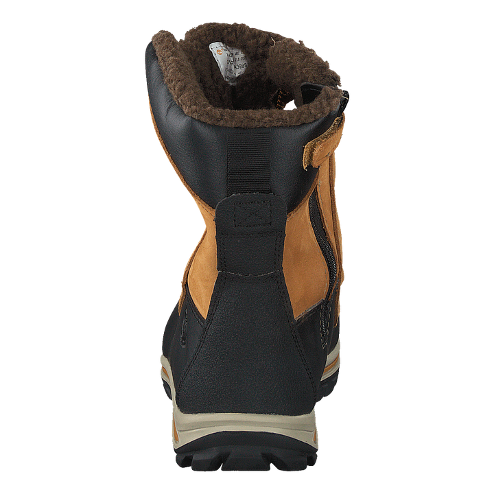 3571R Rime Ridge Wheat