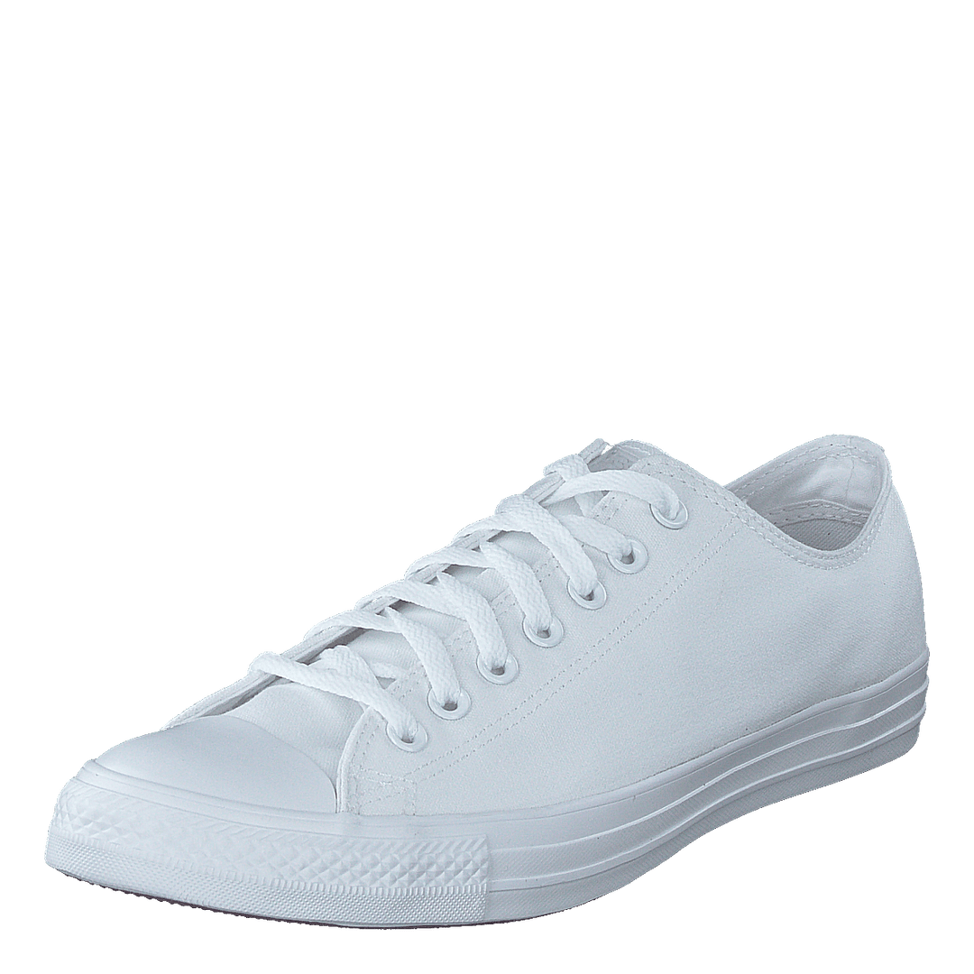 Chuck Taylor All Star Ox White Mono
