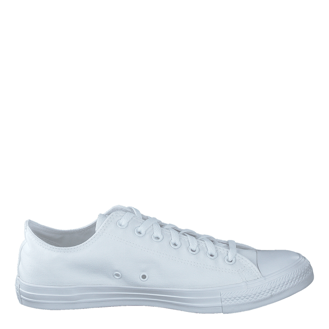 Chuck Taylor All Star Ox White Mono