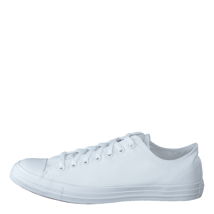 Chuck Taylor All Star Ox White Mono