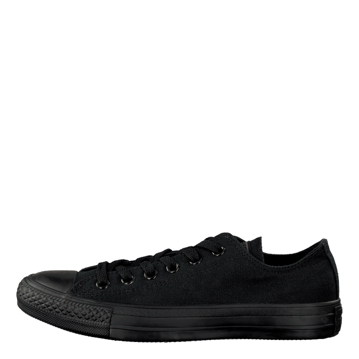All Star Canvas Ox