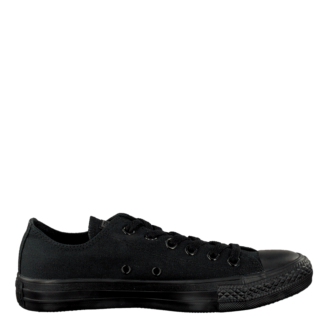 All Star Canvas Ox