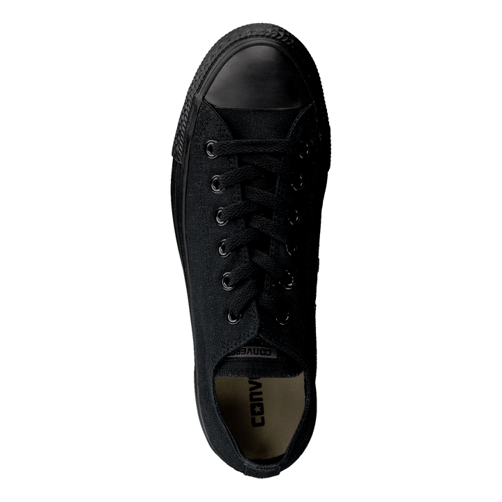 All Star Canvas Ox