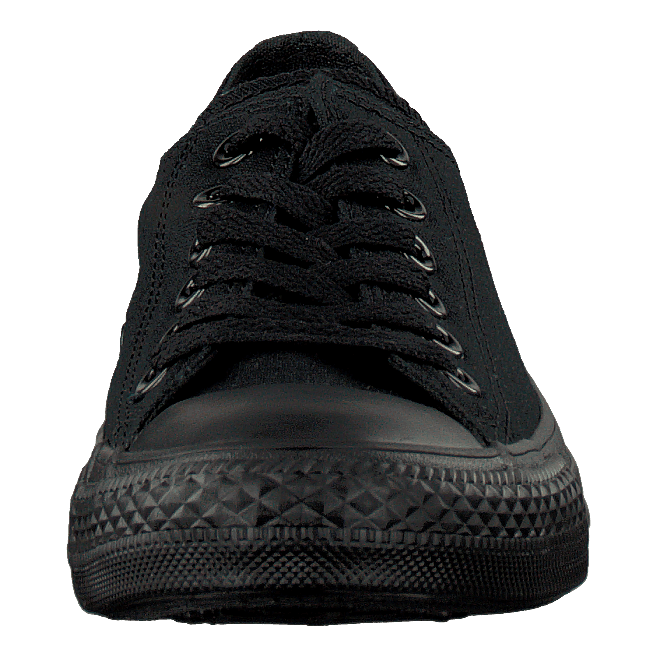 All Star Canvas Ox