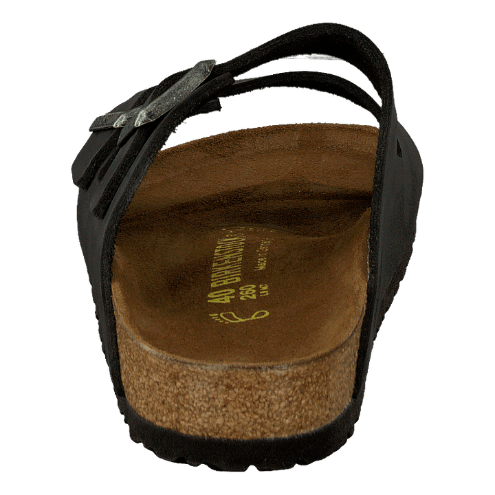 Arizona Regular Black